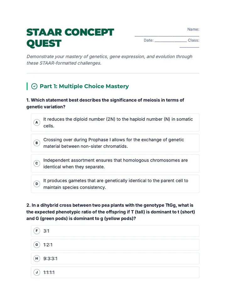 STAAR Concept Quest Worksheet