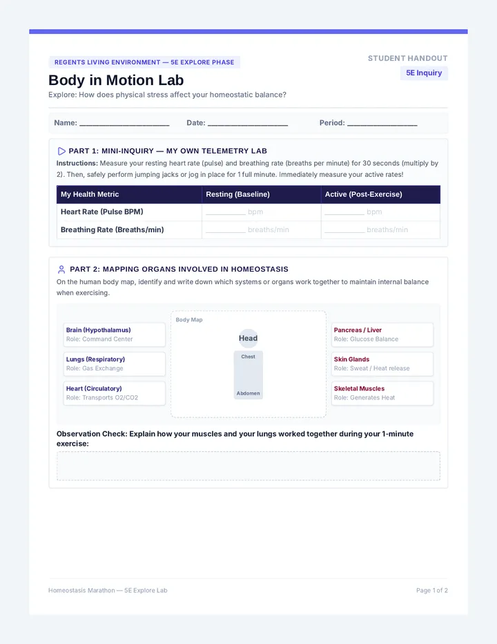 Body in Motion Worksheet