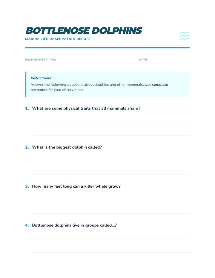 Dolphin Discovery Worksheet