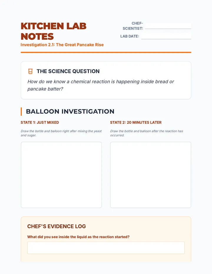 Rising Dough Lab Worksheet
