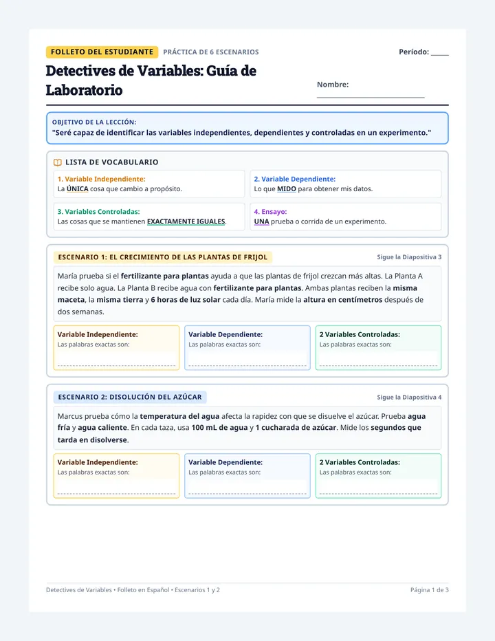 Variable Detectives Spanish Handout