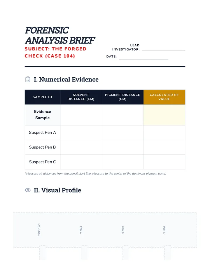 Forensic Brief Report