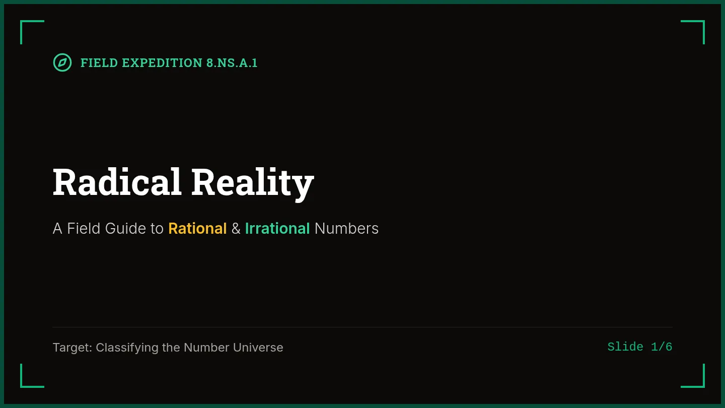 Radical Reality Slides