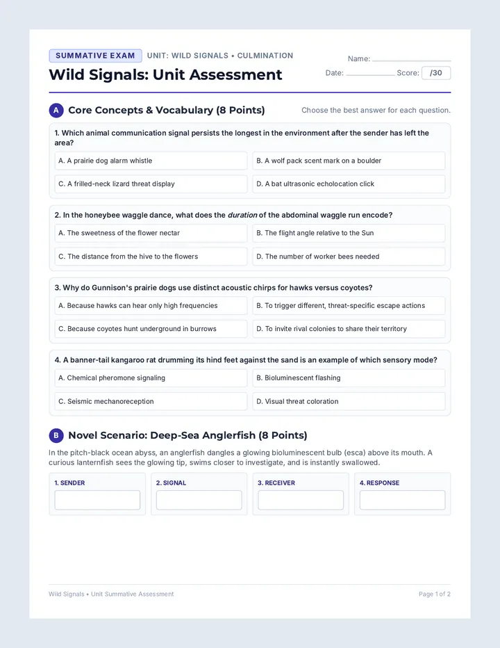 Signals Unit Assessment