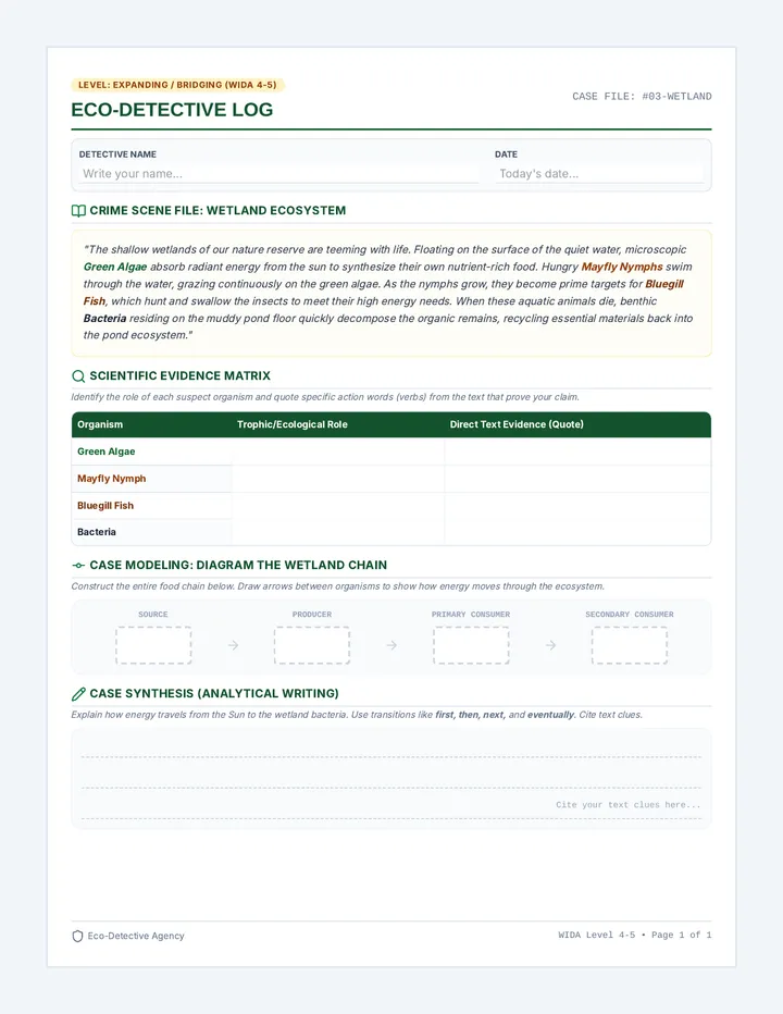Detective Log Worksheet Level Four Five