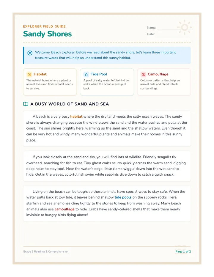 Sandy Shores Reading Passage
