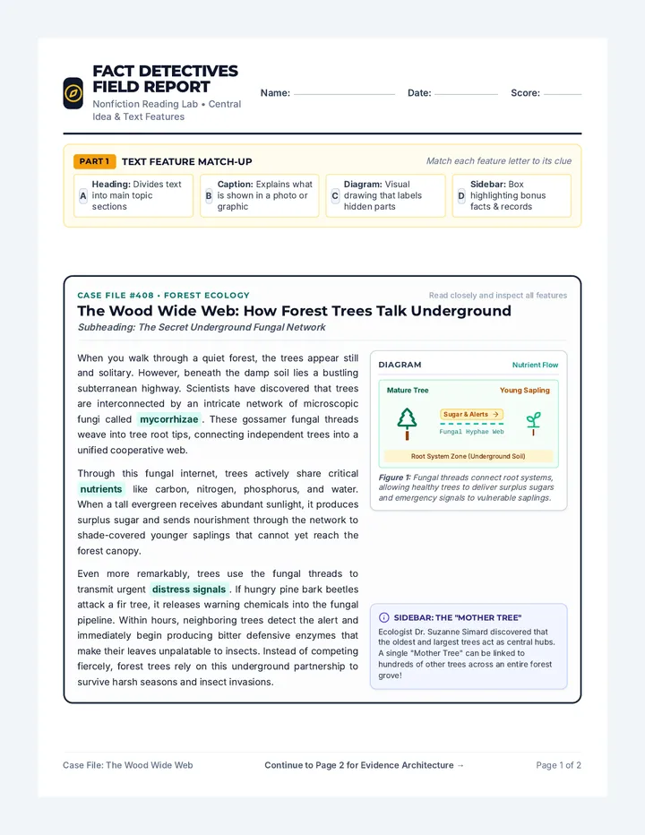 Fact Detectives Worksheet