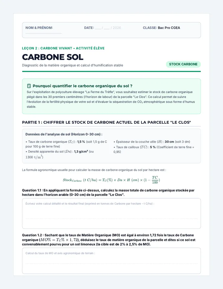 Carbone Sol Activité
