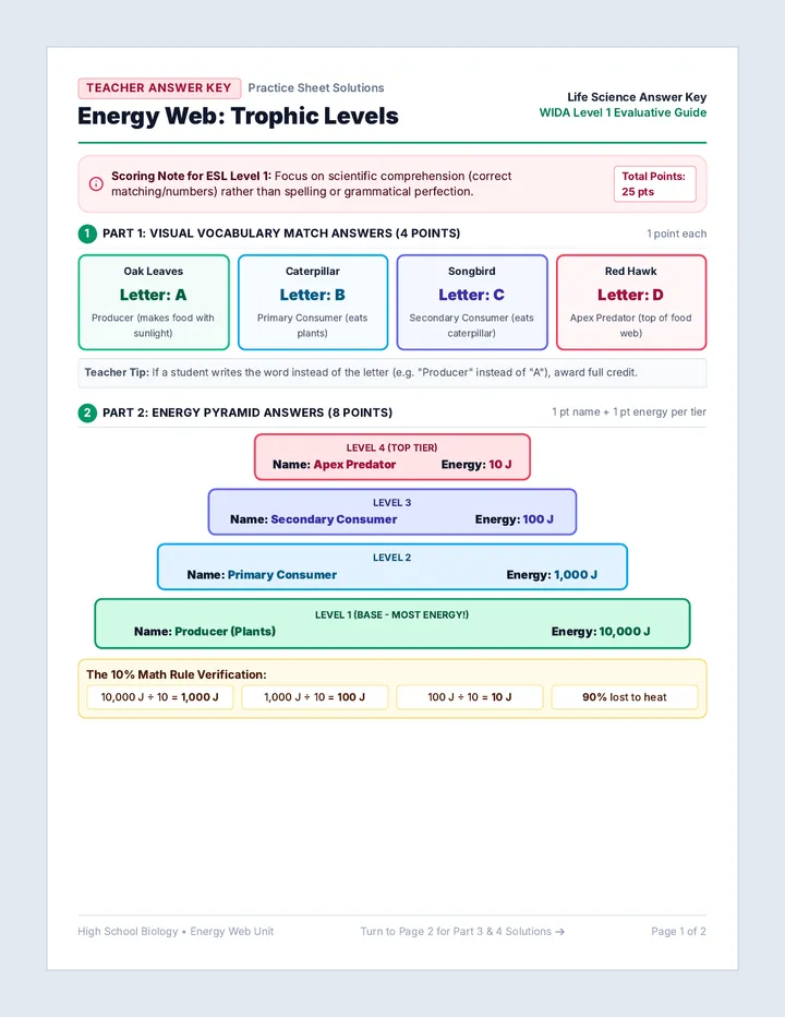 Energy Web Answer Key