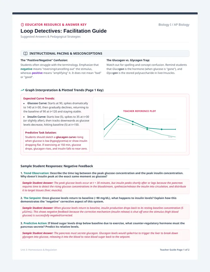 Feedback Loops Teacher Key