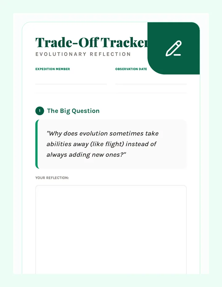 Trade-Off Tracker Reflection
