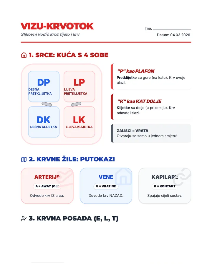 Vizu Krvotok Mnemotehnike Final