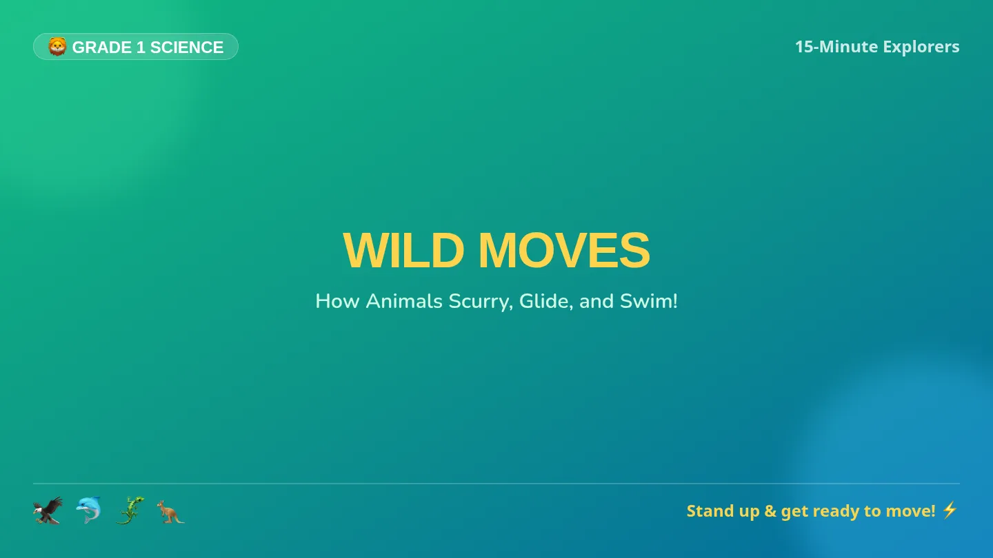 Wild Moves Slides