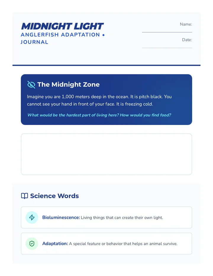 Midnight Light Journal