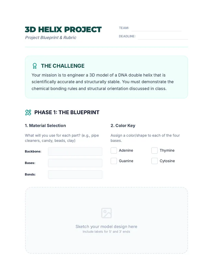 DNA Model Project Guide