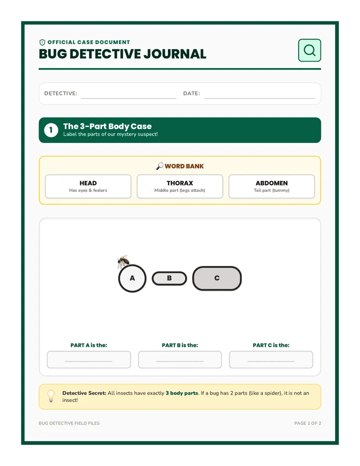 Bug Detectives Field Journal