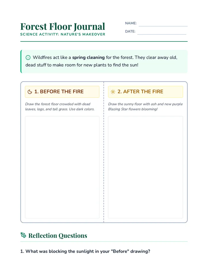 Makeover Worksheet