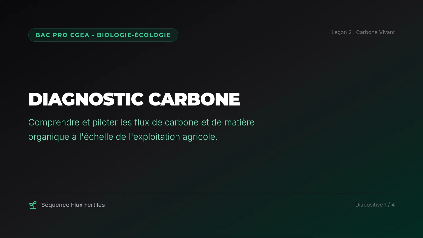 Diagnostic Carbone Slides