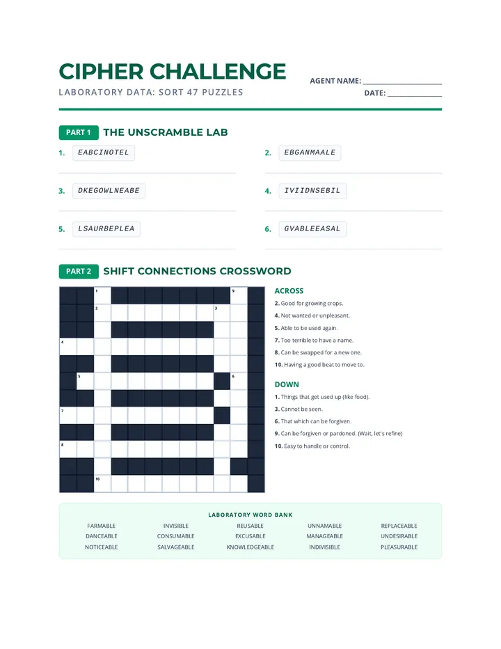 Cipher Challenge Puzzles IV