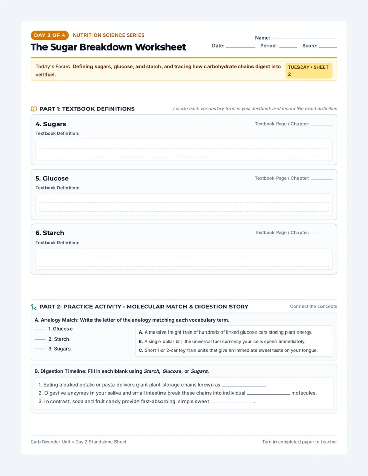 Day 2 Sugars Worksheet