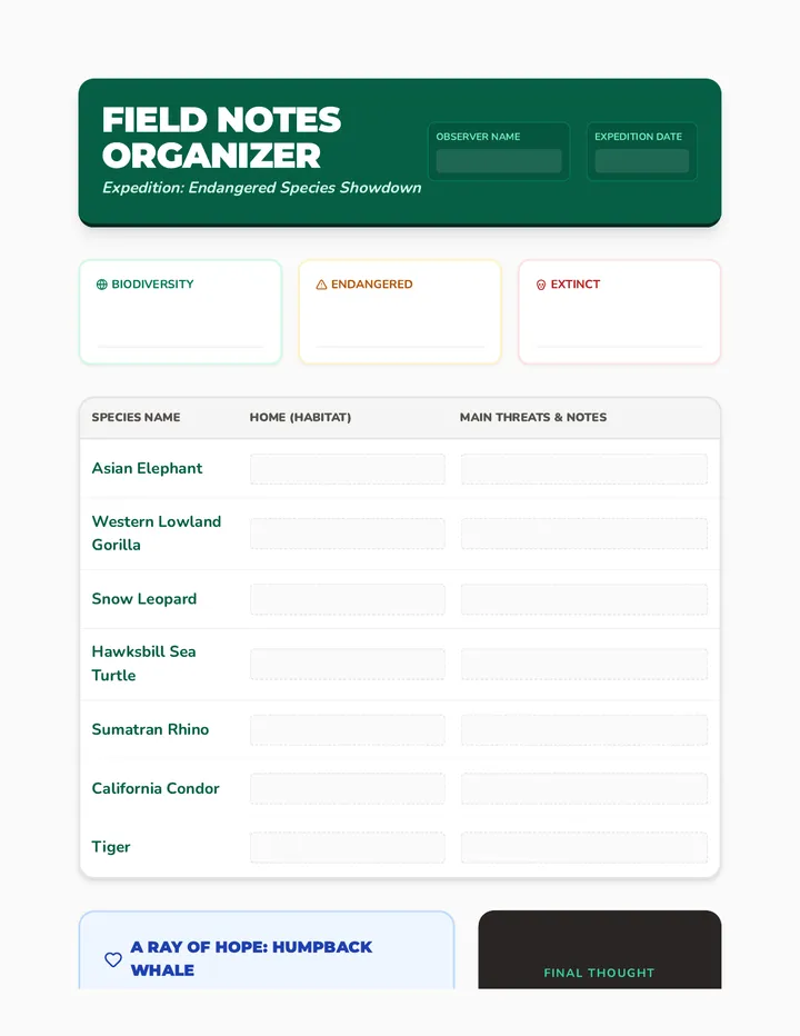 Field Notes Organizer