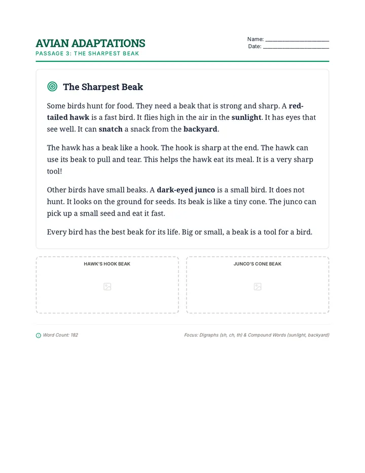 The Sharpest Beak Passage 3