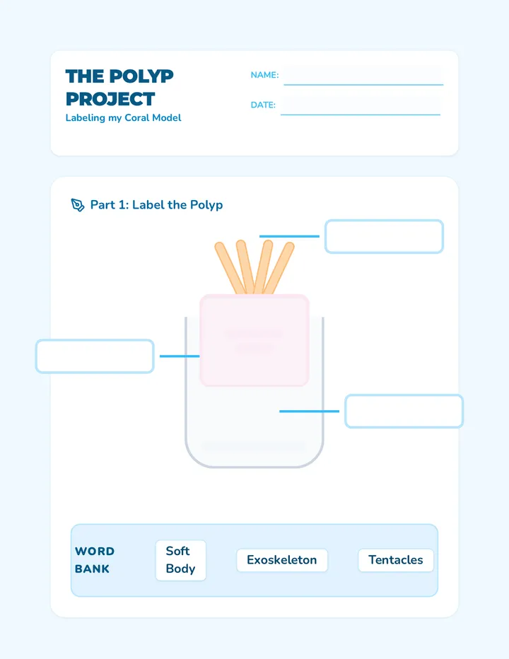Polyp Parts Worksheet