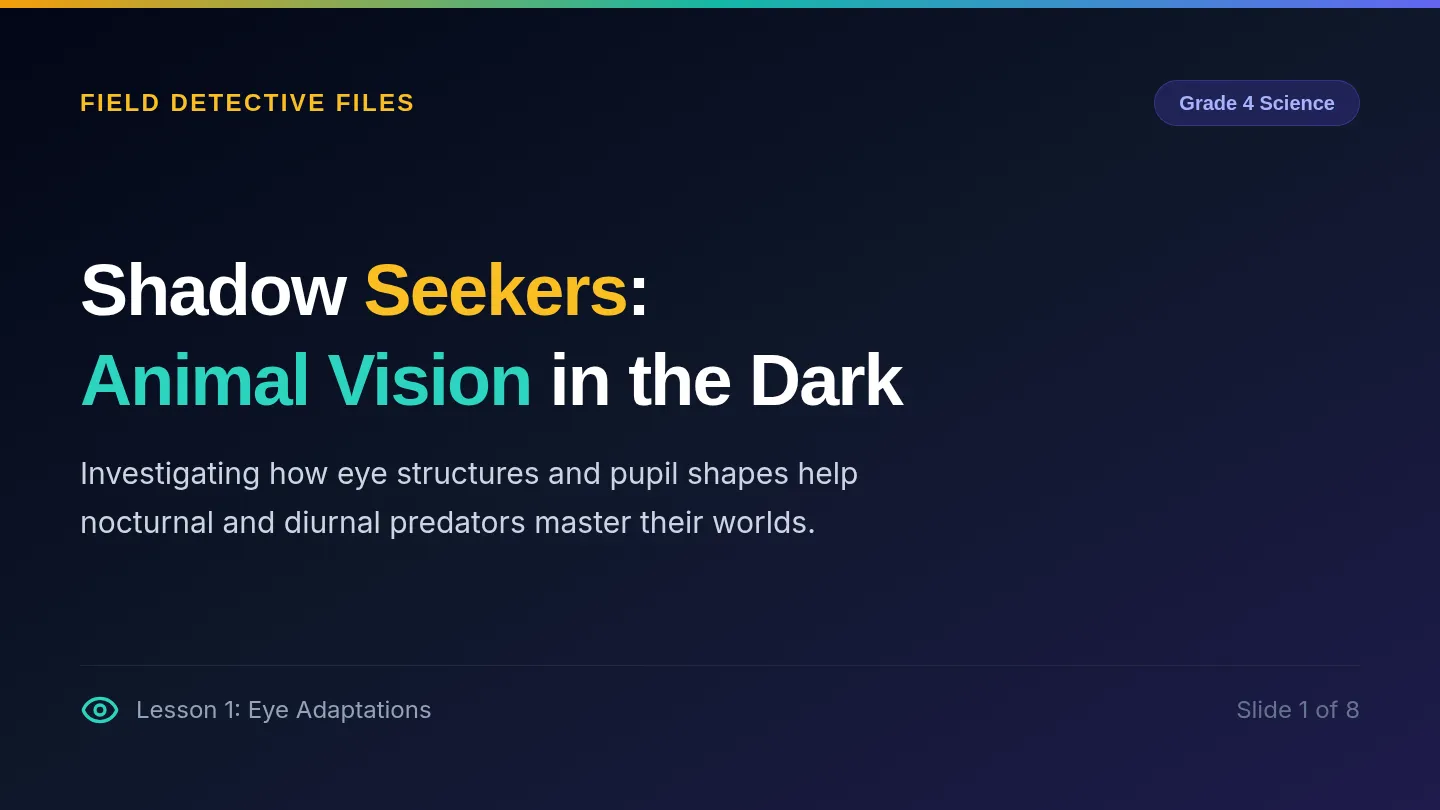 Shadow Seekers Slides