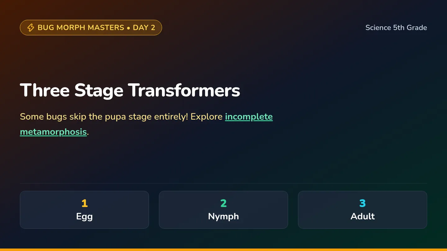 Three Stages Slides