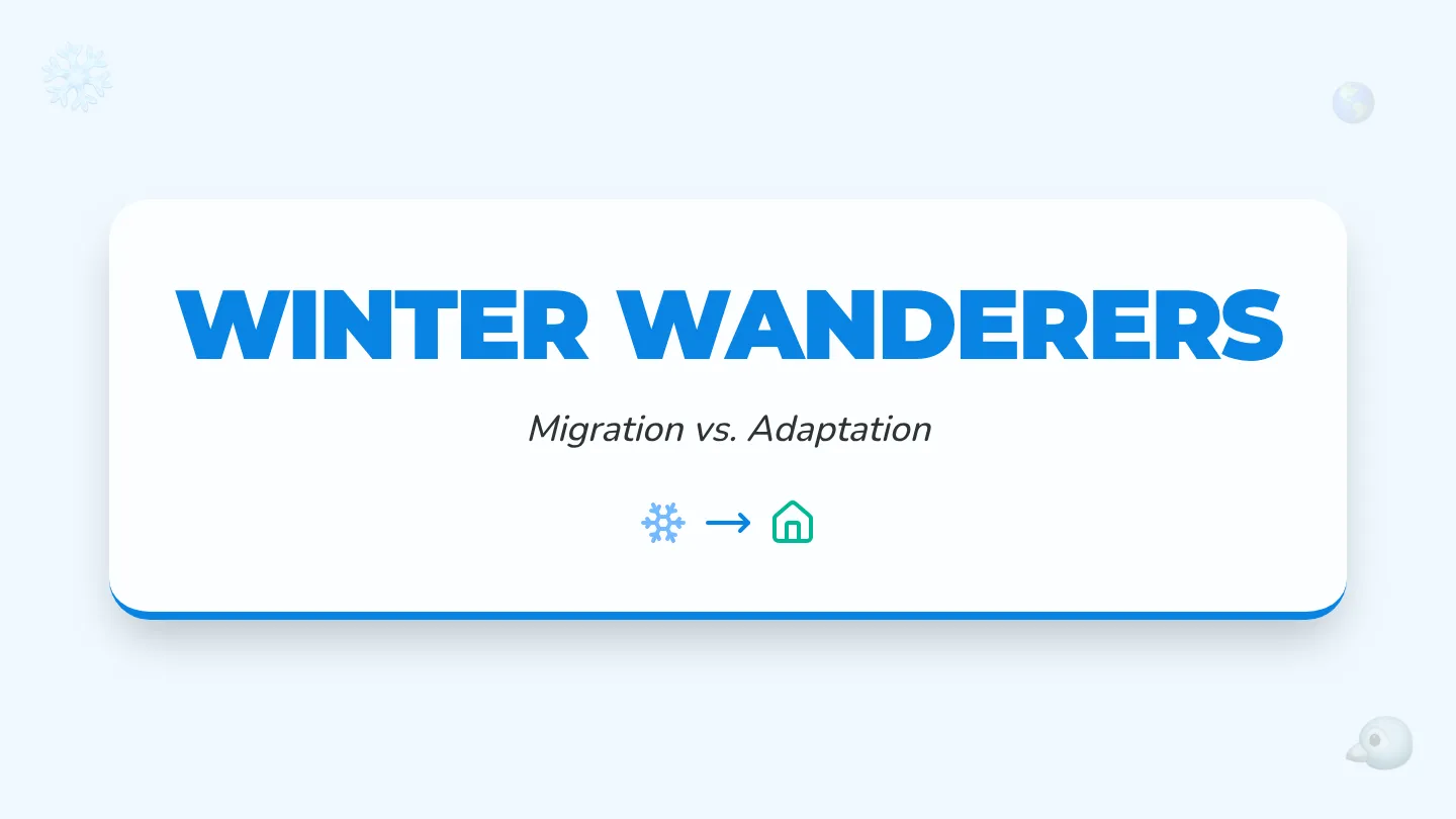 Winter Wanderers Slides Presentation