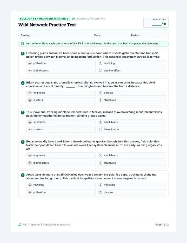 Wild Network Practice Test