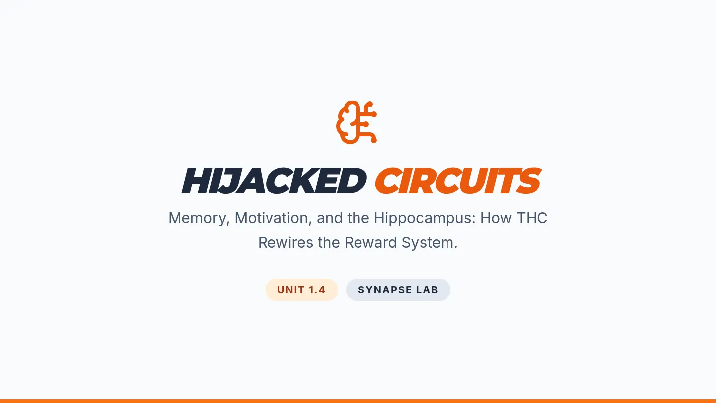 Hijacked Circuits Slides