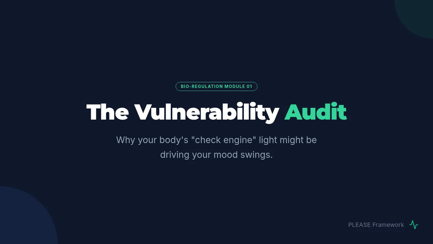 Vulnerability Audit Slides