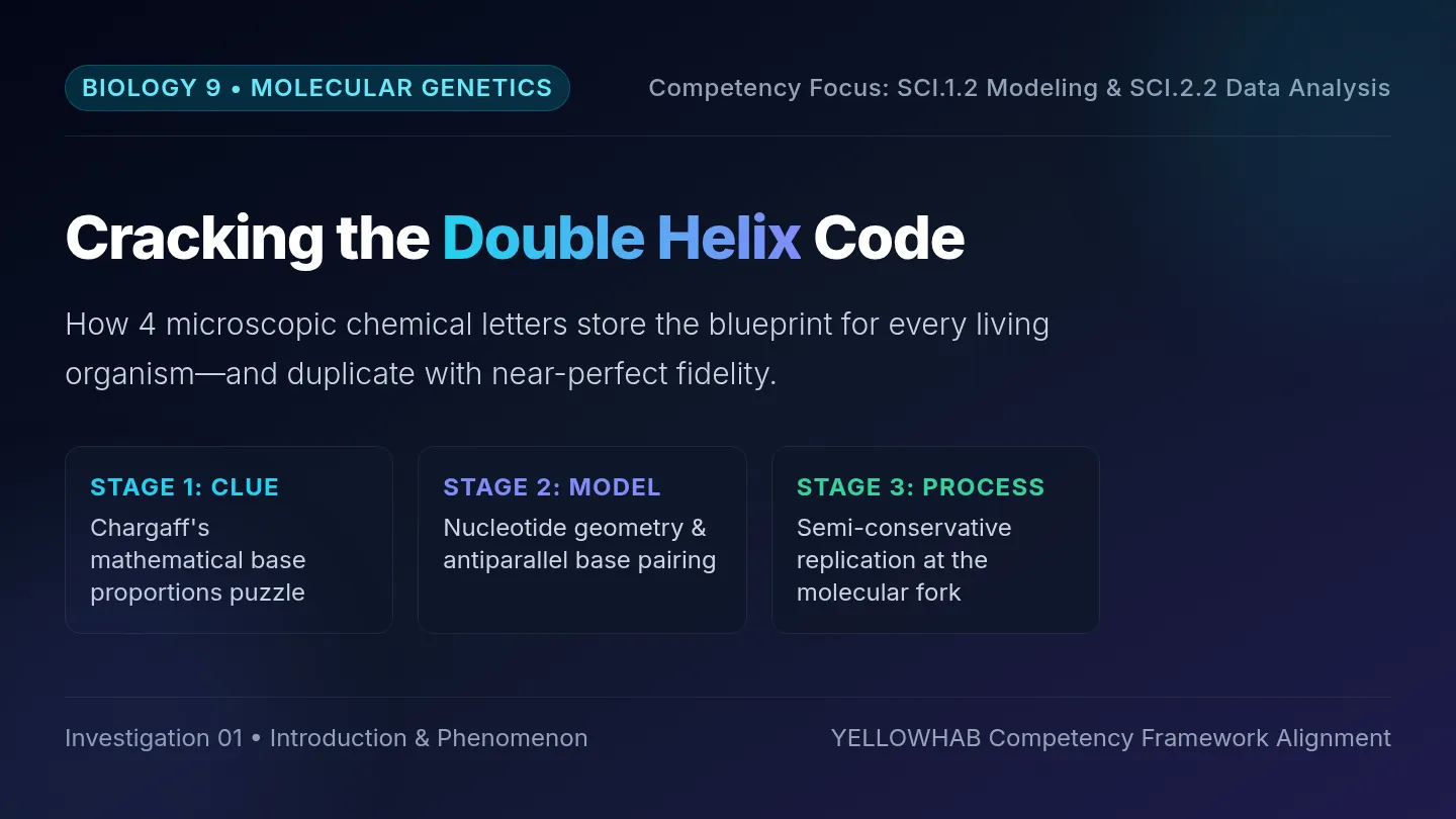 Double Helix Decoders Slides