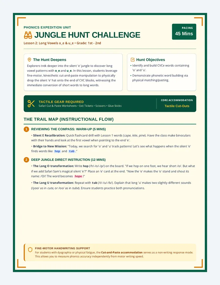 Jungle Hunt Lesson Plan