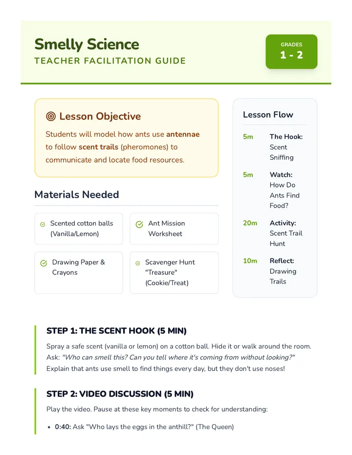 Ant Trail Teacher Guide