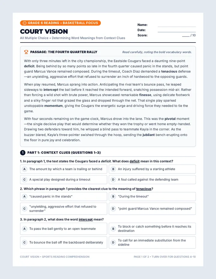 Court Vision Reading Worksheet