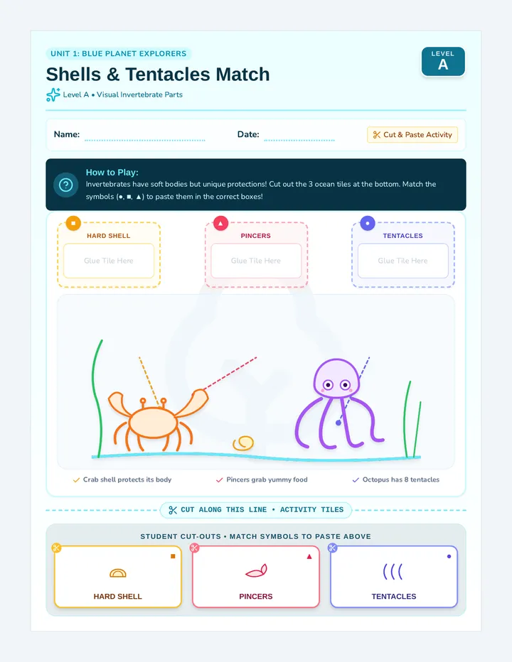 Shells Tentacles Visual Match