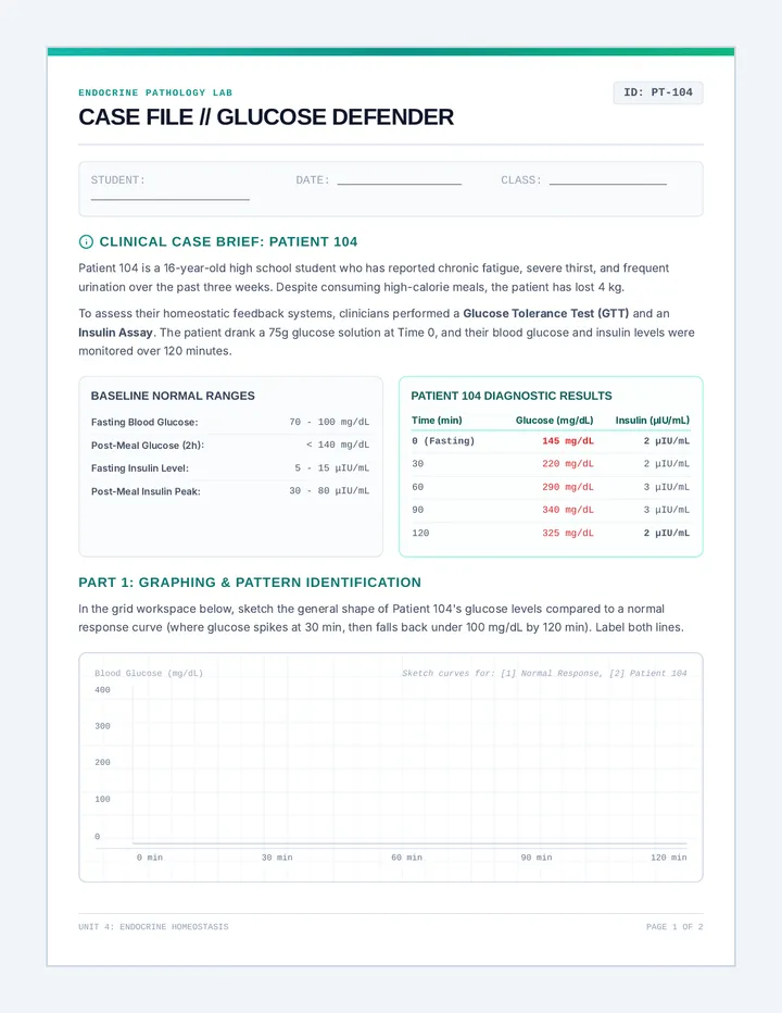 Sugar Crash CER Worksheet