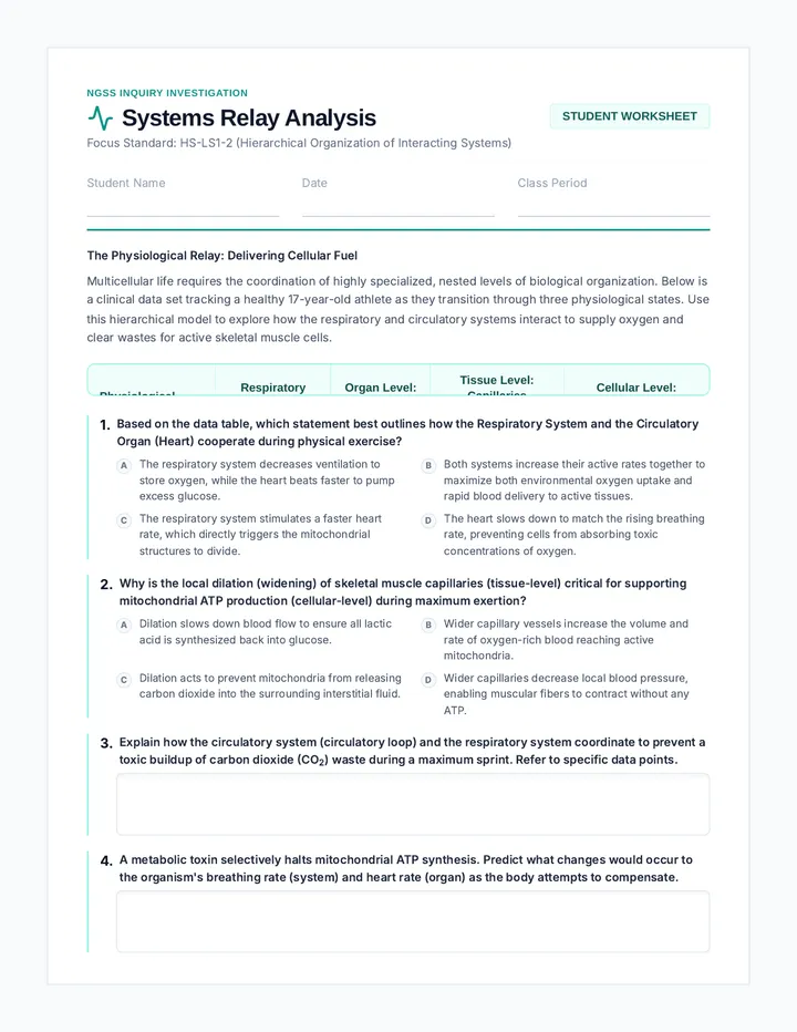 Systems Relay Worksheet