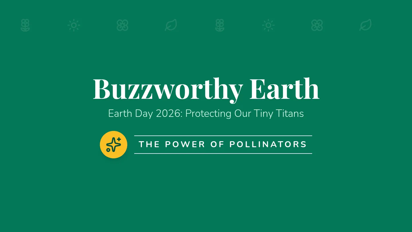 Buzzworthy Earth Slides