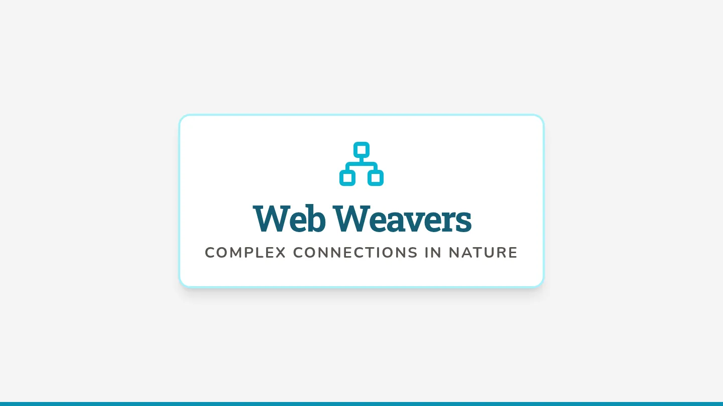 Web Weavers Slides
