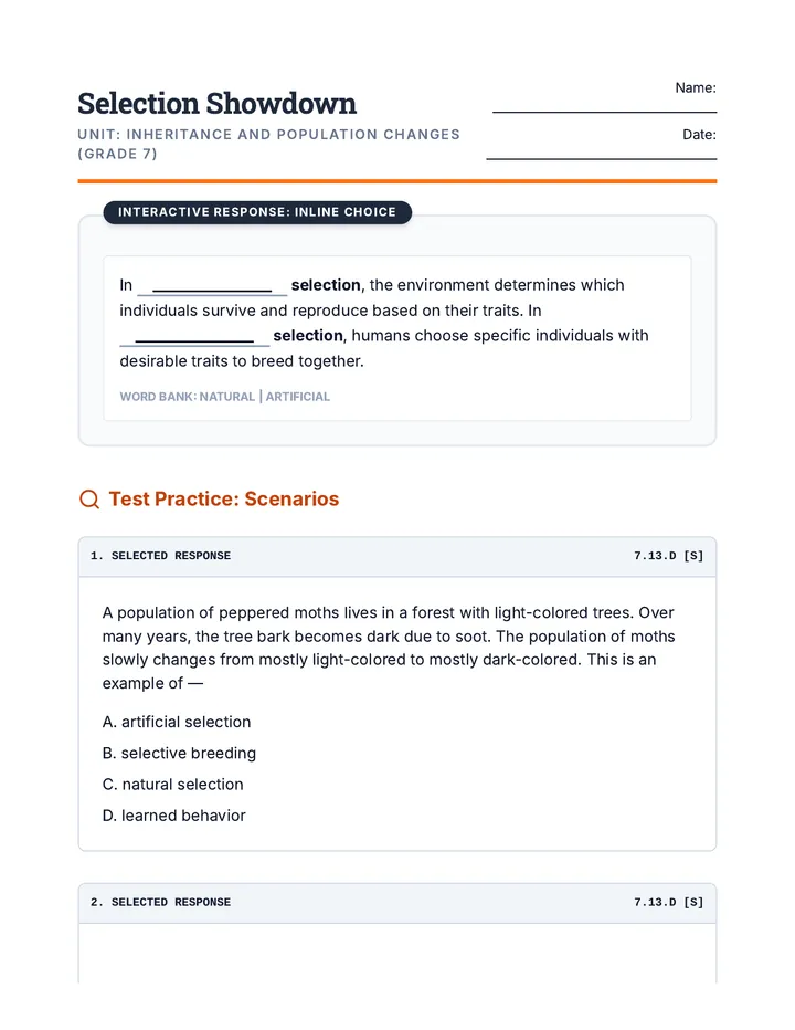 Selection Showdown Worksheet