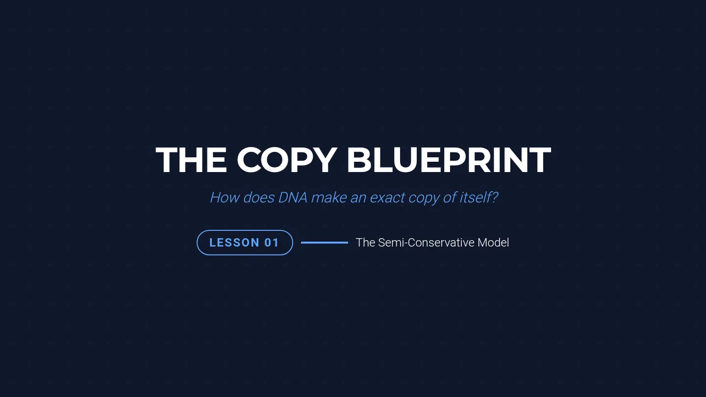 The Copy Blueprint Slides