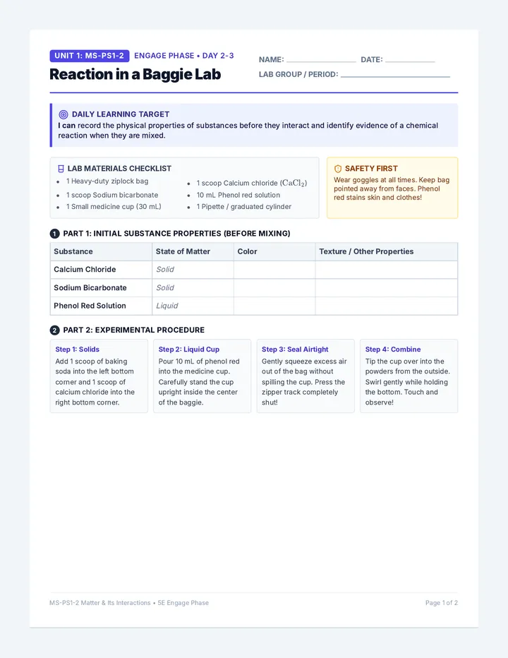 Baggie Reaction Lab Handout