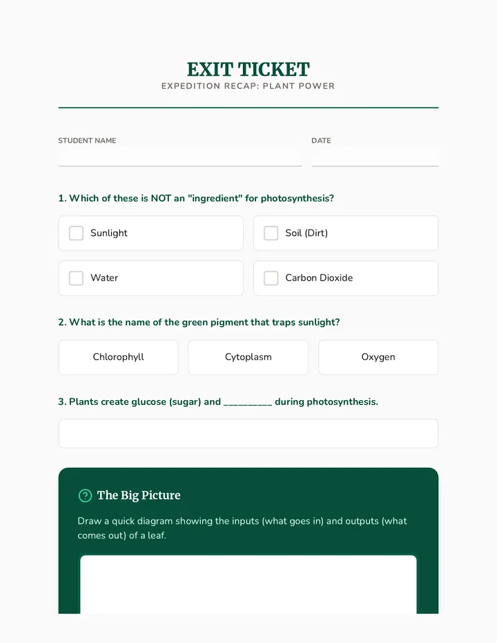 Oxygen Exit Ticket