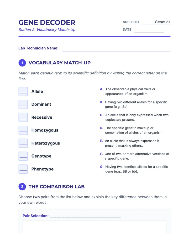 Gene Decoder Worksheet