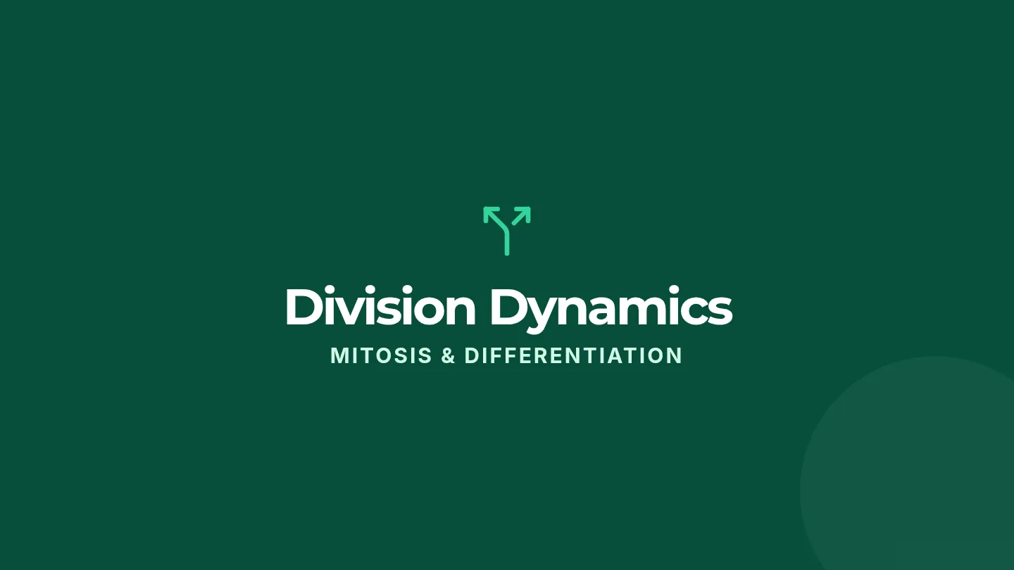Division Dynamics Slides