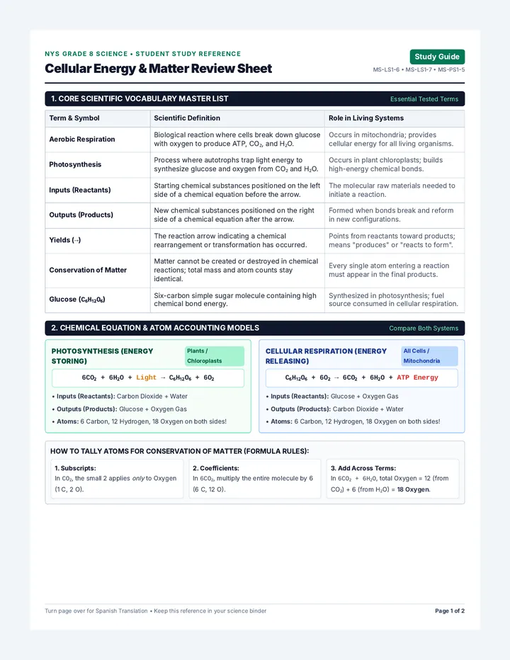 Cellular Energy Review Sheet
