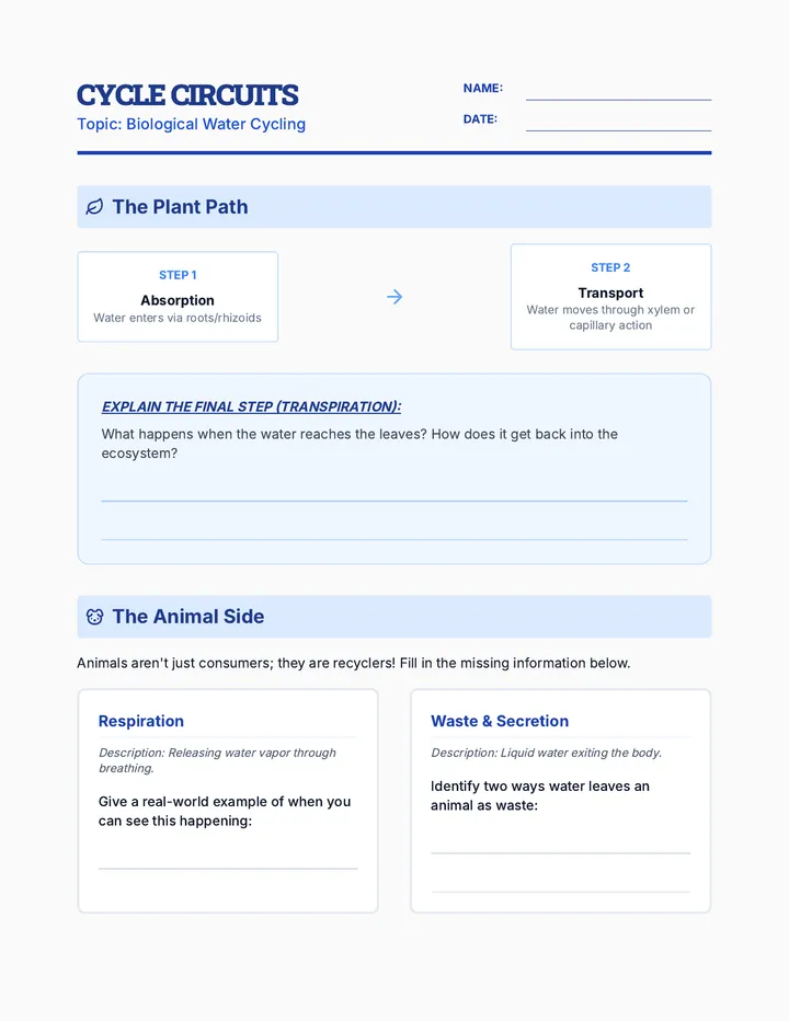 Cycle Circuits Worksheet